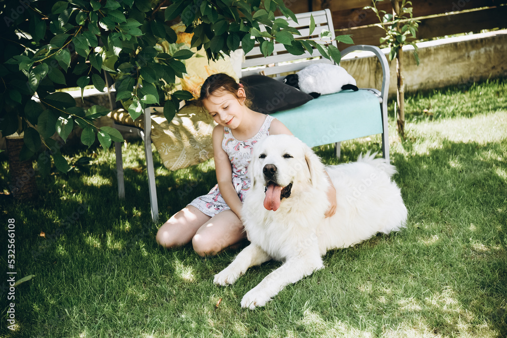 summer with a dog summer with a dog