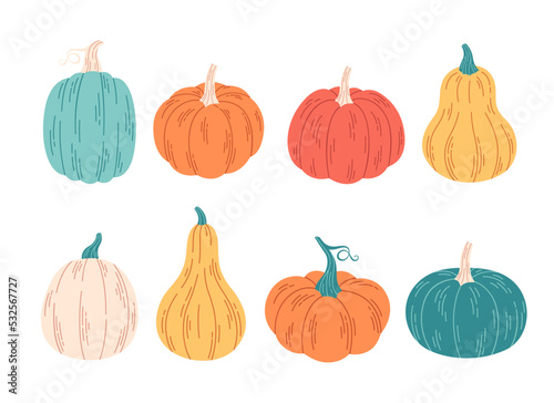 Pumpkins of different colors and shapes. Hello autumn, autumn harvest, farming. Vegetables, gourds. Hand drawn vector illustration