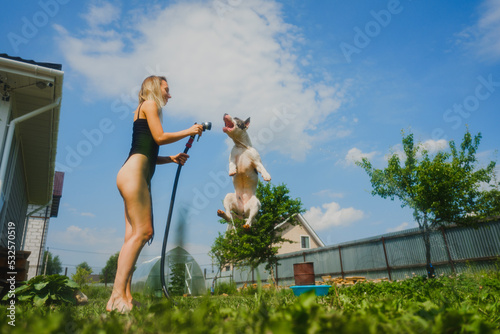 Hunting For Refreshing Water In Summer Vacation photo