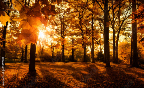 An autumn scene  falling leaves  digital art