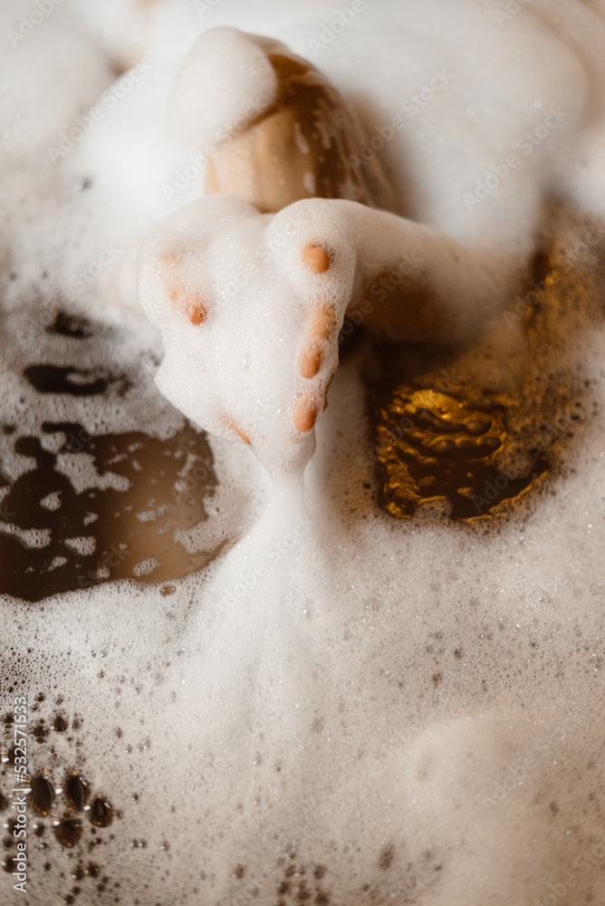 Anonymous Woman Taking Foamy Bath Anonymous Woman Taking Foamy Bath