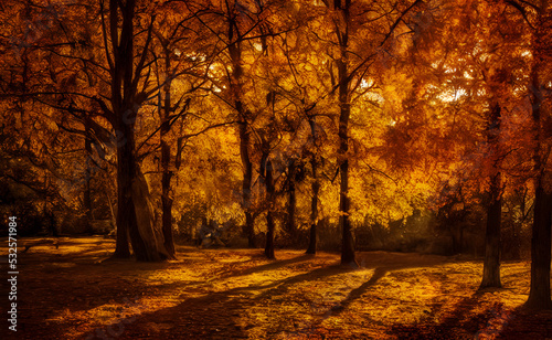 An autumn scene  falling leaves  digital art