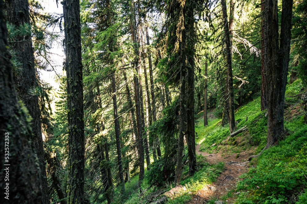 Pathway in Zermatt Matterhorn Pathway in Zermatt Matterhorn