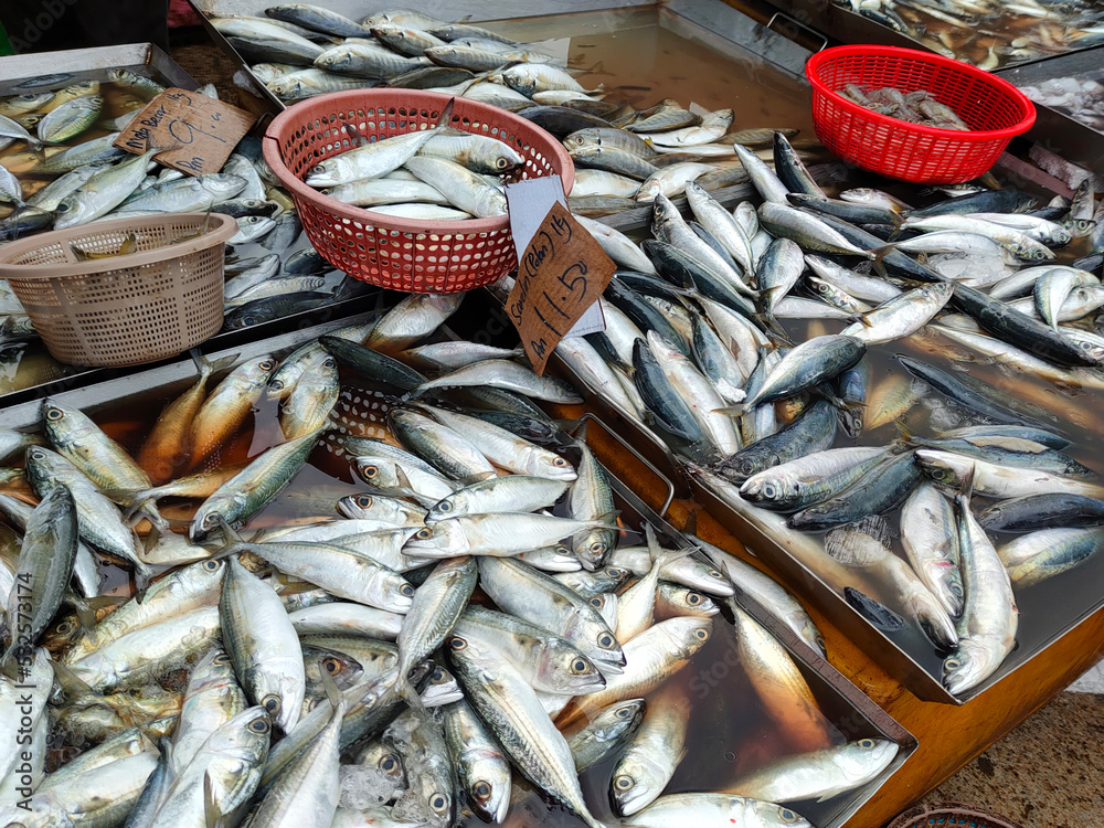 Fresh fish and other seafood are on sale in wet markets. It is placed in a flea for the customer to choose. Placed the price tag for convenience.