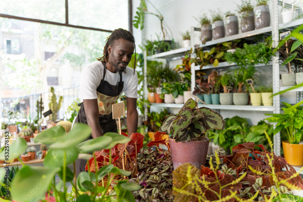 Black Man Working In A Plants Store. Black Man Working In A Plants Store.