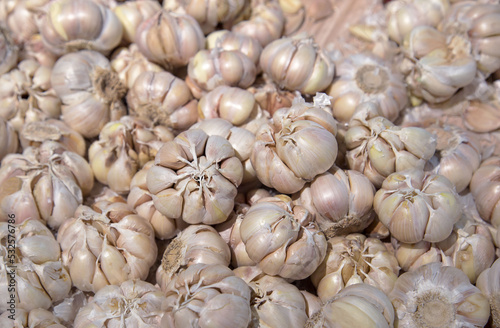 garlic pile texture background. Fresh garlic on market / Spicy cooking ingredient garlic for thai food.