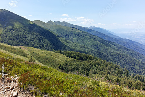 Summer landscape of Belasitsa Mountain, Bulgaria © Stoyan Haytov