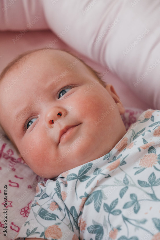 Cute chubby baby
Cute chubby baby