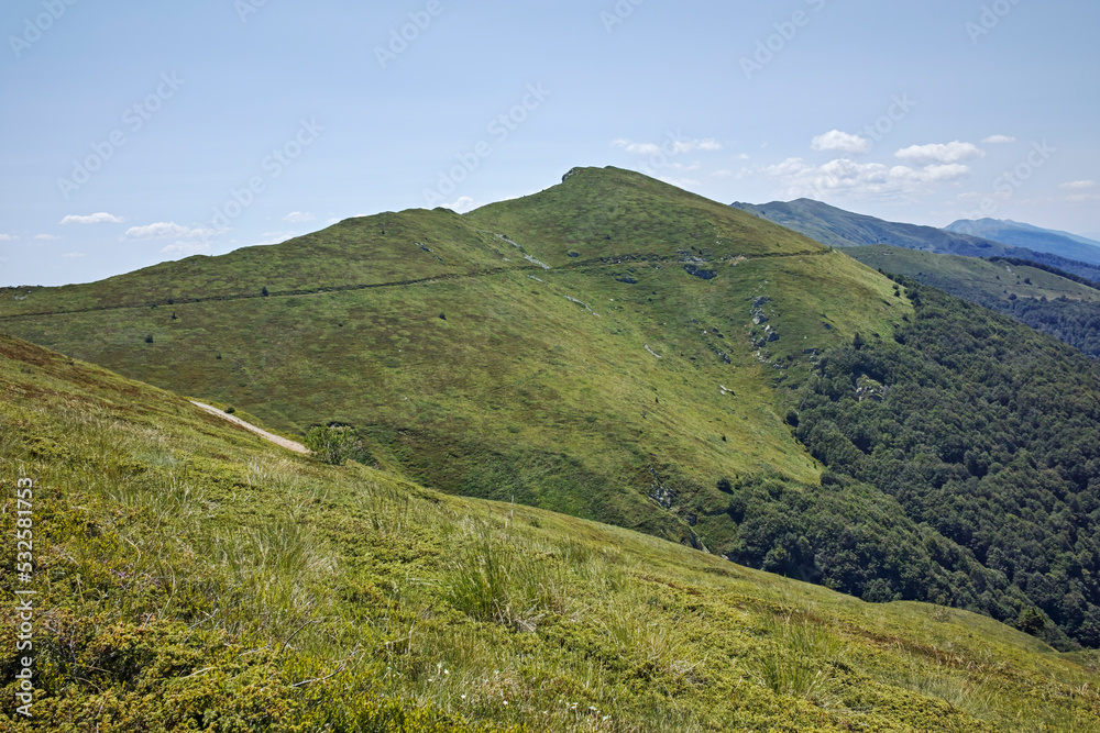 Summer landscape of Belasitsa Mountain, Bulgaria