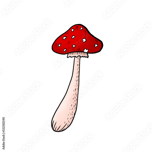 Hand drawn illustration of fly agaric fungi. Botanical forest illustration for design, print, fabric or background. Sketch doodle drawing of magic poisonous mushrooms with red spotted caps.