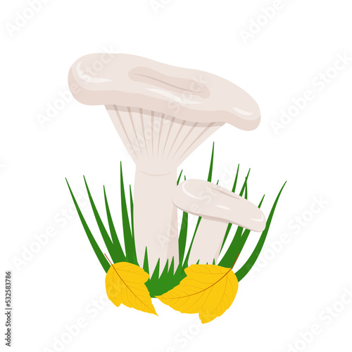 Edible milk mushroom in grass and leaves illustration