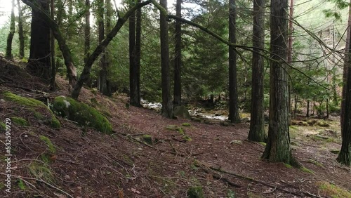 Wallpaper Mural National Park of Gerês in Portugal Aerial View Torontodigital.ca