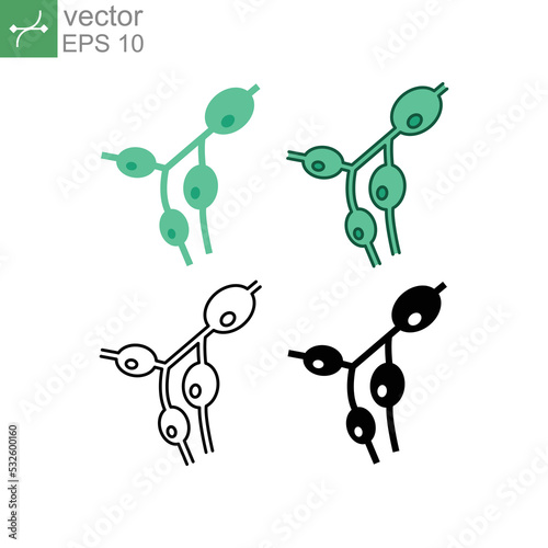 Size increase of the lymph nodes, lympho nodus gland. Medical symptoms of lymphoma, lymphadenopathy part of circulatory system. Lymph nodes icon. Vector illustration. Design on white background. EPS10 photo