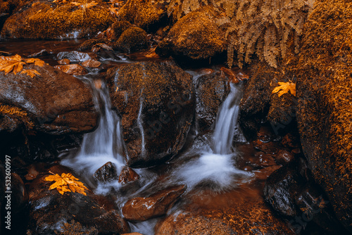 An Oregon PNW waterfall cascade flows down moss covered rocks in fall with large autumn yellow leaves lining the rocks. 
