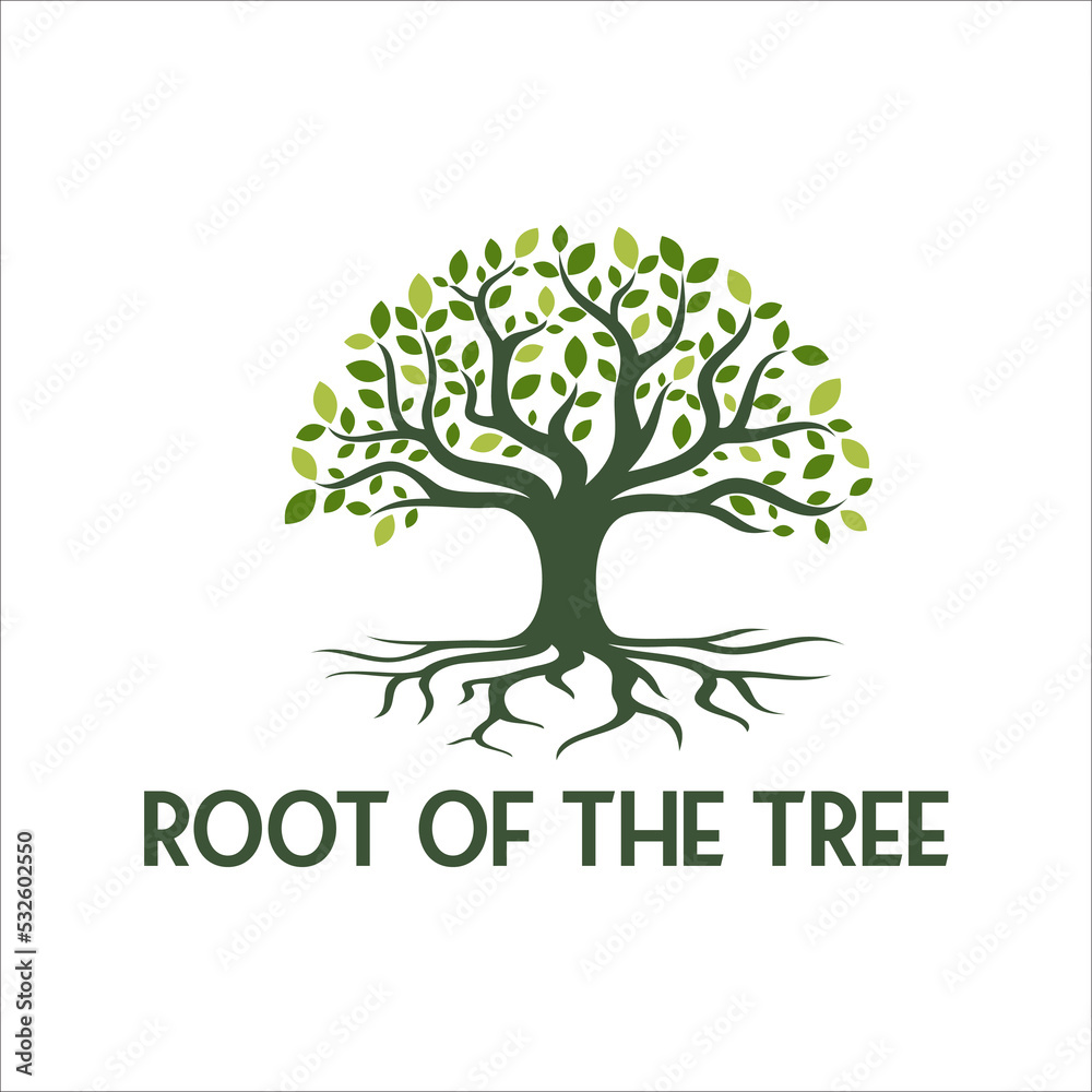 Tree of Life Seal Emblem Oak Family root Maple Stamp logo design vector
