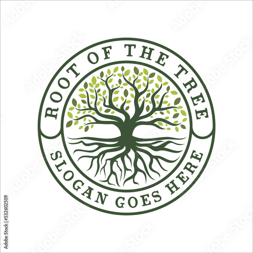 Tree of Life Seal Emblem Oak Family root Maple Stamp logo design vector