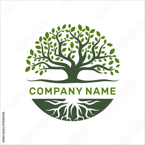 Tree of Life Seal Emblem Oak Family root Maple Stamp logo design vector