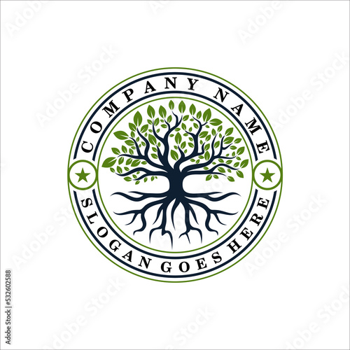 Tree of Life Seal Emblem Oak Family root Maple Stamp logo design vector
