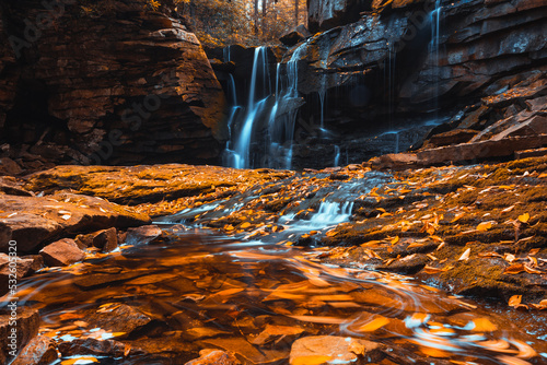 Fototapeta Naklejka Na Ścianę i Meble -  Elakala Falls in west  Virginia during a colorful golden autumn with yellow fall colored leaves decorating the cascading stream of water washing ve rat rocks.  