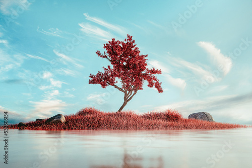 Tree in a surreal landscape