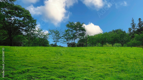 Green grass background with blue sky and field landscape © SUMMIT