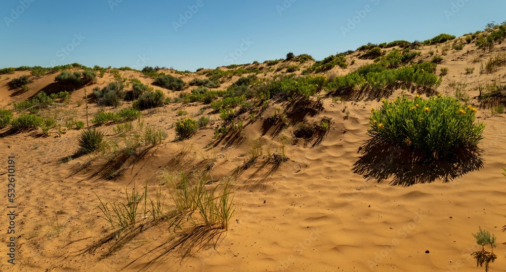 Coral Pink Sand Dunes Coral Pink Sand Dunes