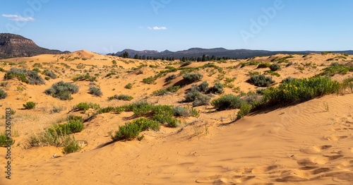 Coral Pink Sand Dunes