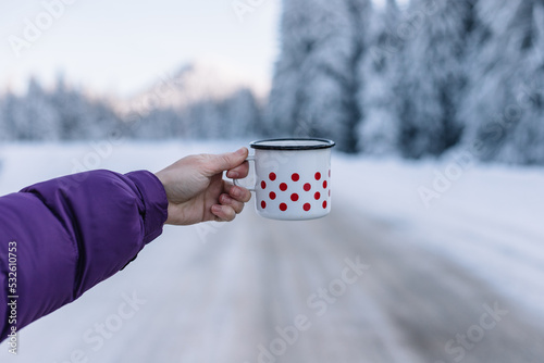 Woman Holding Tea Mug In A Winter Landscape.