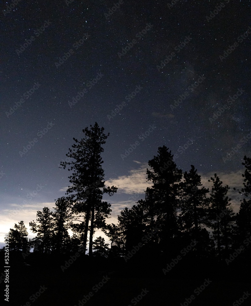Milky Way over Pike Natl Forest