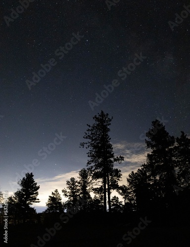 Milky Way over Pike Natl Forest