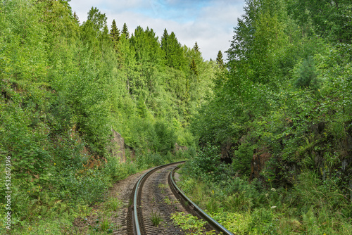 Long railway line in the forest at summer day. © serjiob74