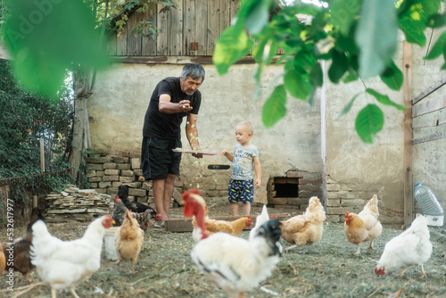 Grandson And Grandad Feeding The Chickens Together photo