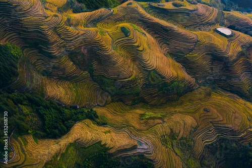 Fotografia Longji Rice Terraces In Guilin.