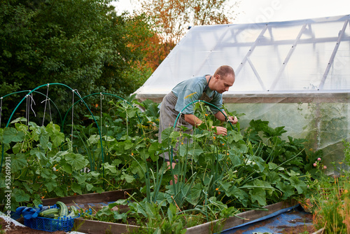 A man processes vegetables in his garden