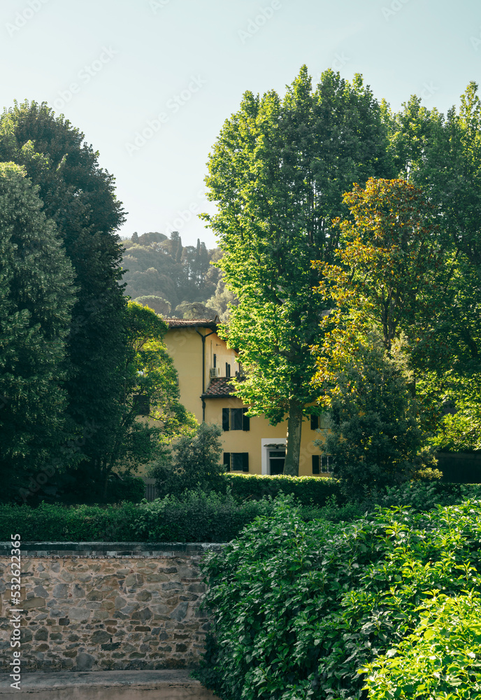 Sunrise on trees in Florence. Sunrise on trees in Florence.