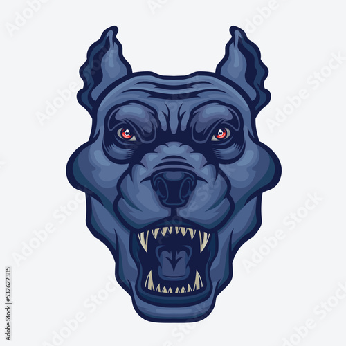 Angry pitbull head.  © Sergei Arkhipov