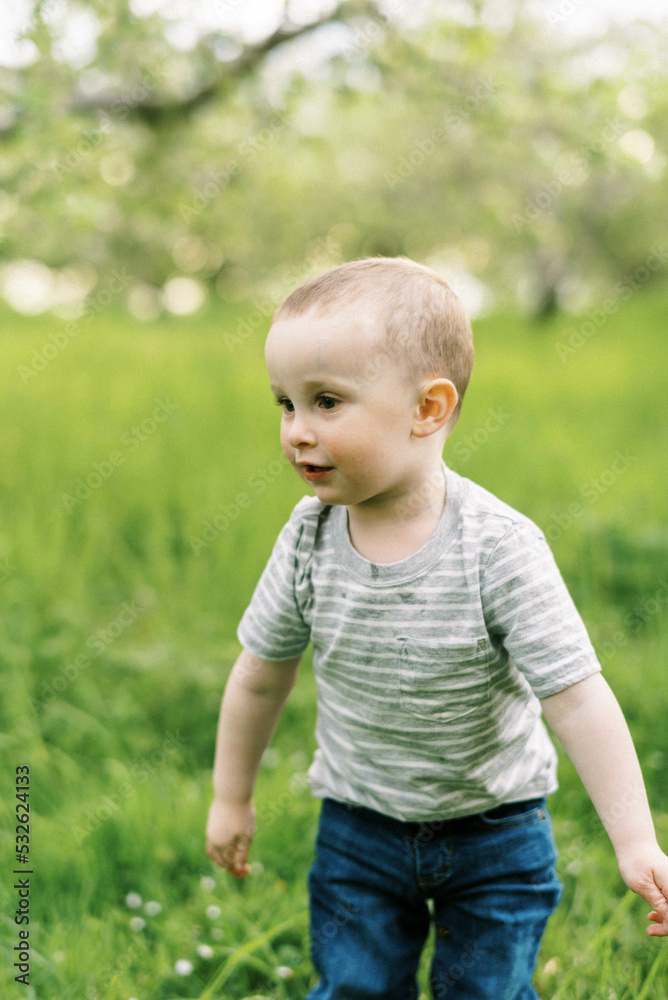 Little toddler standing in an apple orchard in spring Little toddler standing in an apple orchard in spring