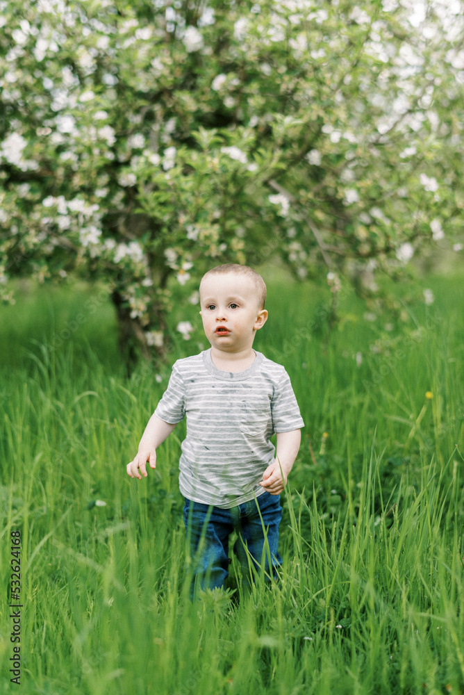 Little toddler standing in an apple orchard in spring Little toddler standing in an apple orchard in spring