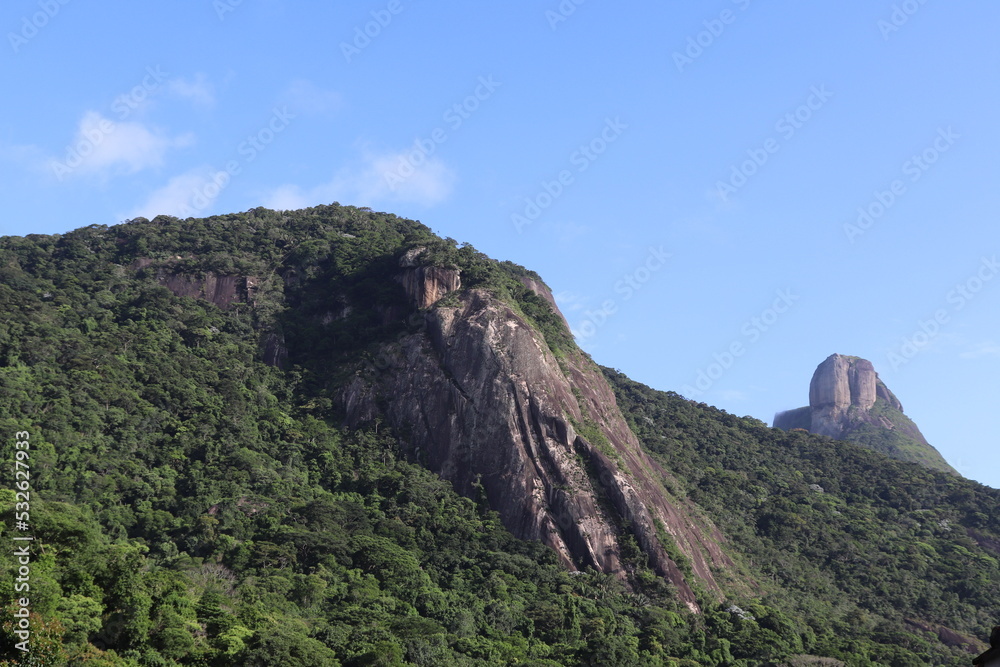 Forest and Mountains in Rio de Janeiro Brazil
