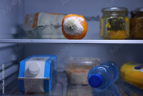 moldy mandarin in fridge photo