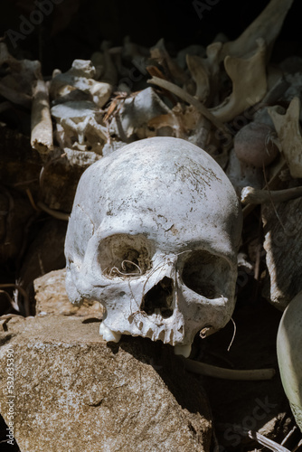 The skull in the old grave, this cave is located in Yende, Roon island, Teluk Wondama district, West Papua province.