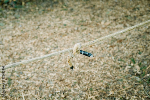 Two pieces of rope knotted together photo
