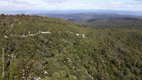 Aerial view of the coast near the forest in Oncol Park, Chile photo