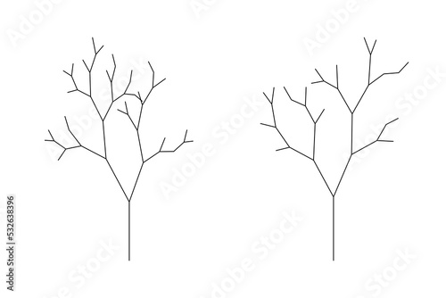 tree structure used in landscape design