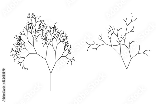 tree structure used in landscape design