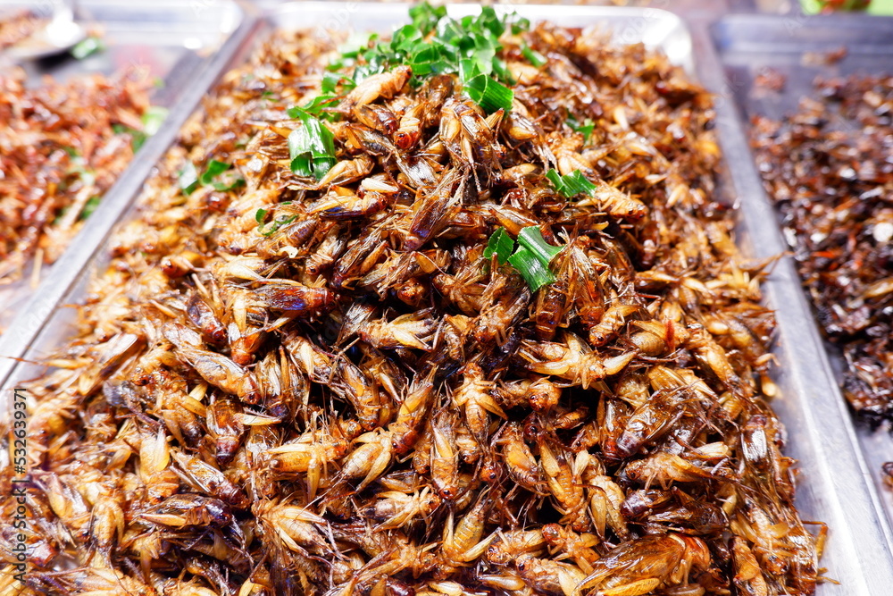 Seasoned Fried Insects Street food is very popular in Thailand. It tastes delicious.