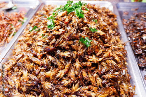 Seasoned Fried Insects Street food is very popular in Thailand. It tastes delicious.