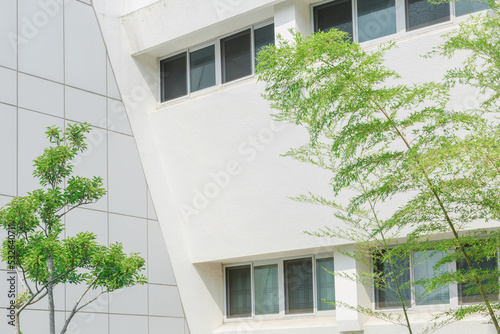 Close-up of the walls of trees and stadiums.