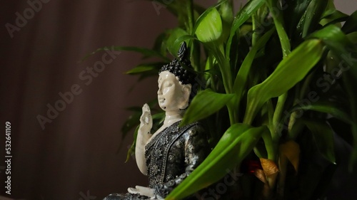 Peaceful Buddha  photo