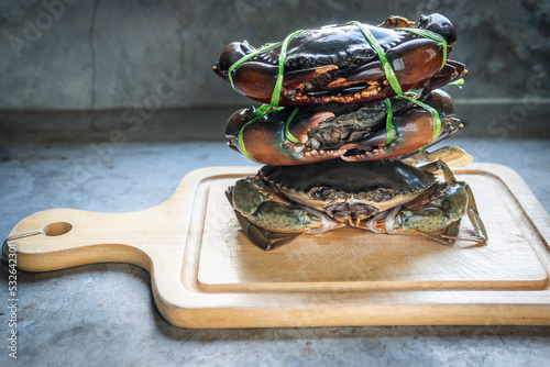 Giant mud crab on wooden chopping board served . Closeup fresh bubble crab (Scylla serrata) Common name Black Crab, Mangrove Crab Rows of crabs tied with straw are sold in the native market. 